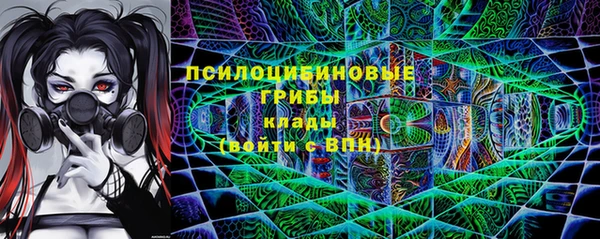 ешки Абинск