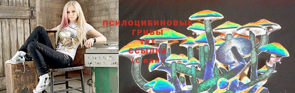 Альфа ПВП Алексеевка
