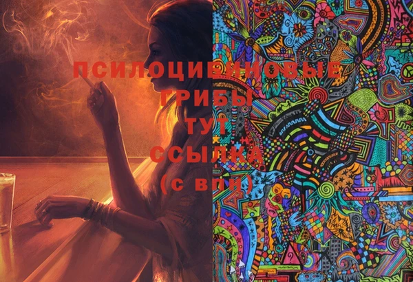 амф Липки