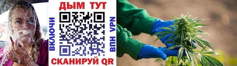 Бошки Шишки марихуана  Алдан 